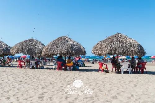 Palapas y bebidas preparadas