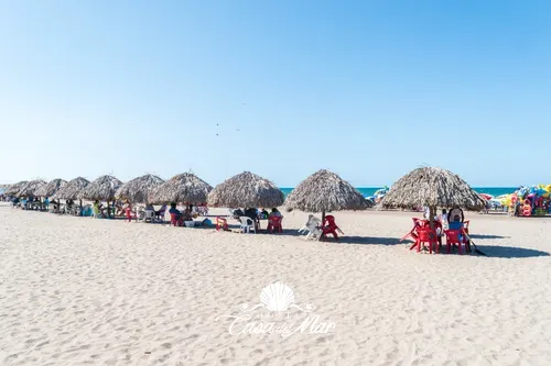Palapas y bebidas preparadas