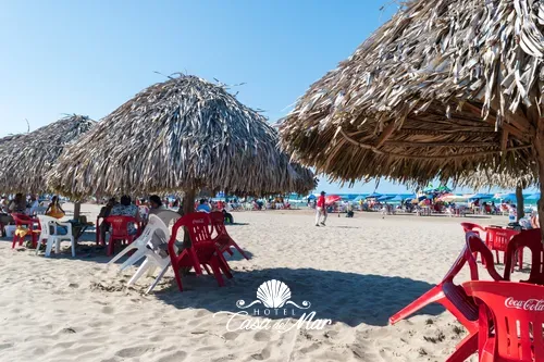 Palapas y bebidas preparadas