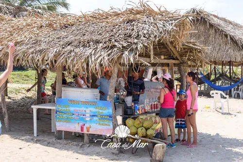 Palapas y bebidas preparadas