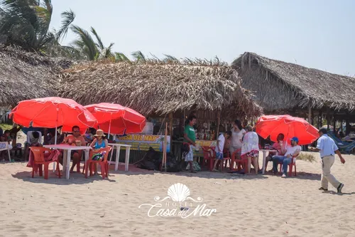 Palapas y bebidas preparadas