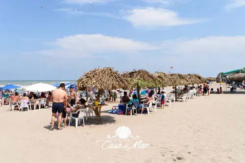 Palapas y bebidas preparadas
